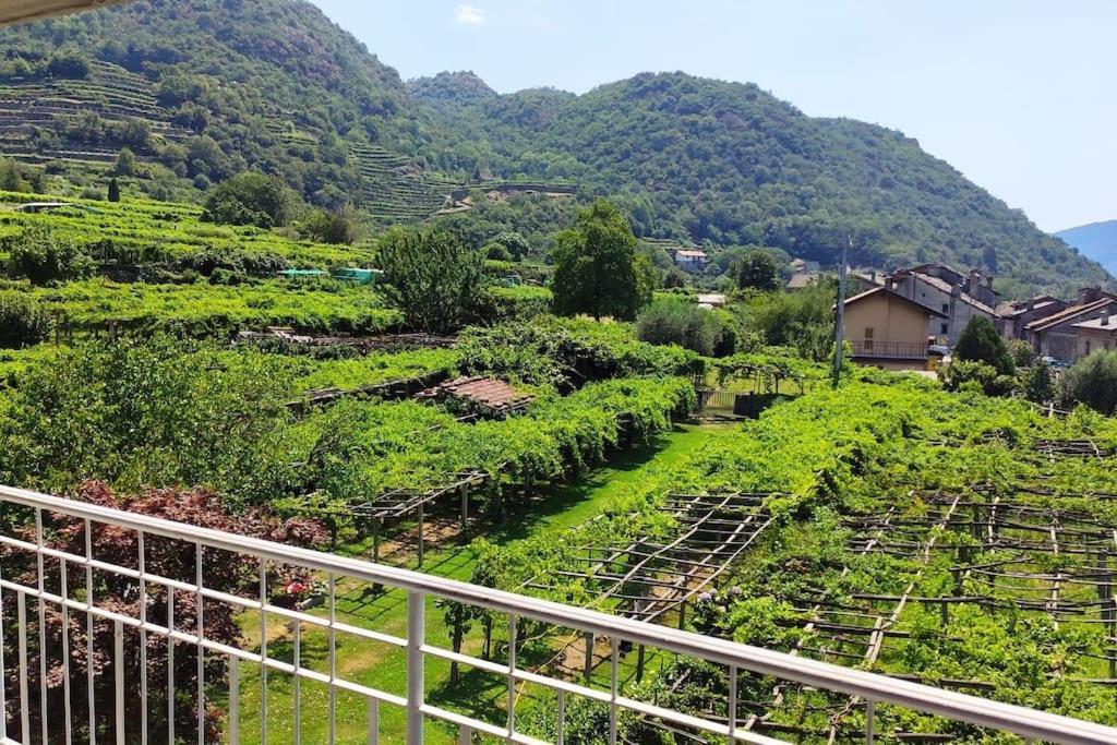 Apartament La Casa Dei Nonni 3,0 Carema Zewnętrze zdjęcie