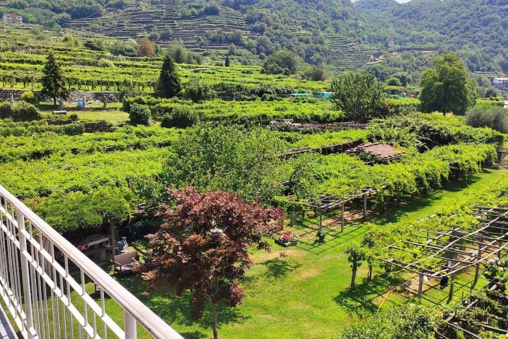 Apartament La Casa Dei Nonni 3,0 Carema Zewnętrze zdjęcie